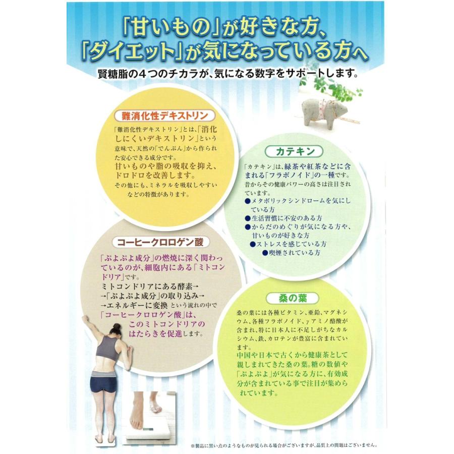 賢糖脂(けんとうし)180粒 30日分